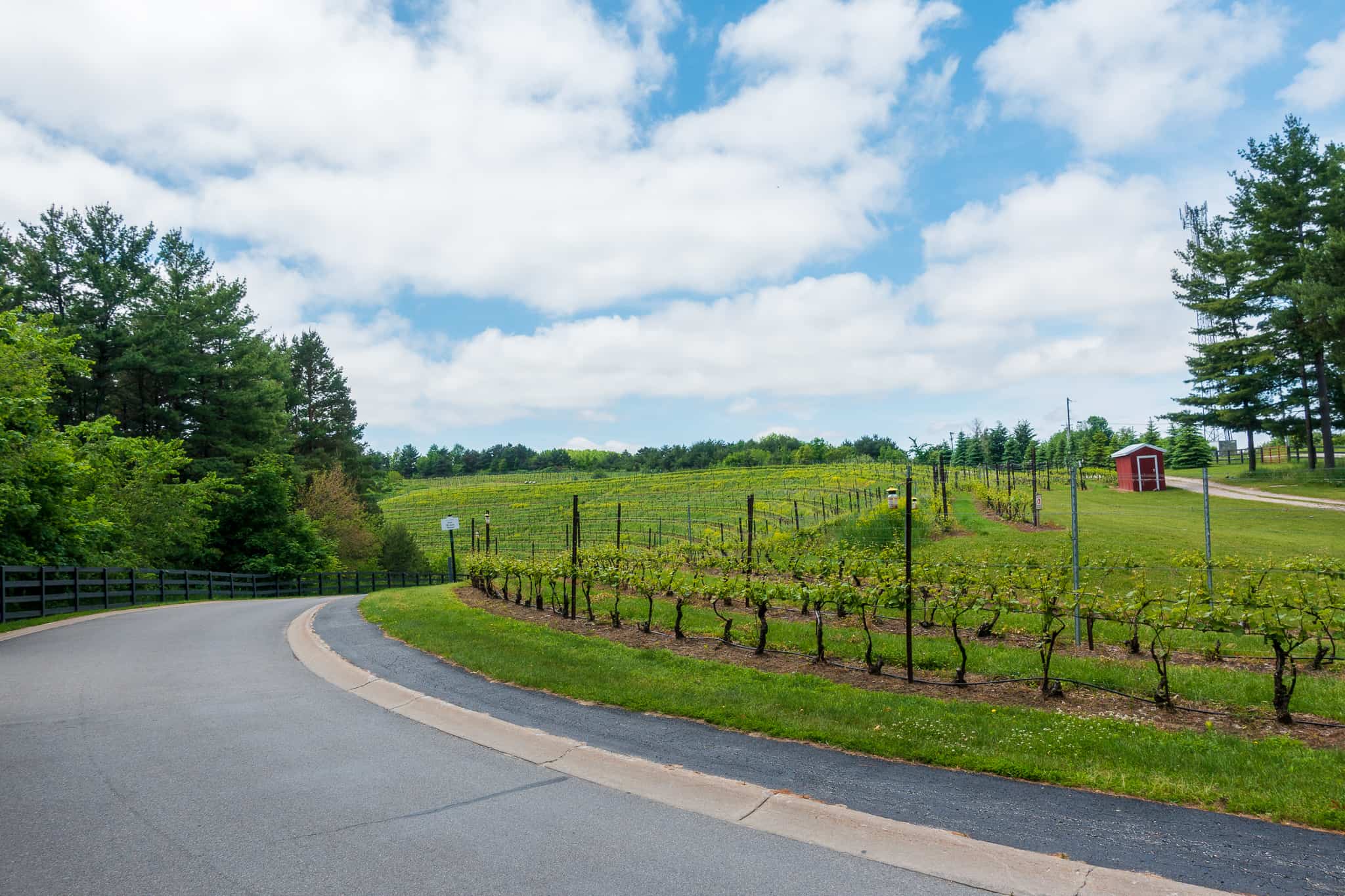 Black Star Farms Winery Driveway near Traverse City, Michigan