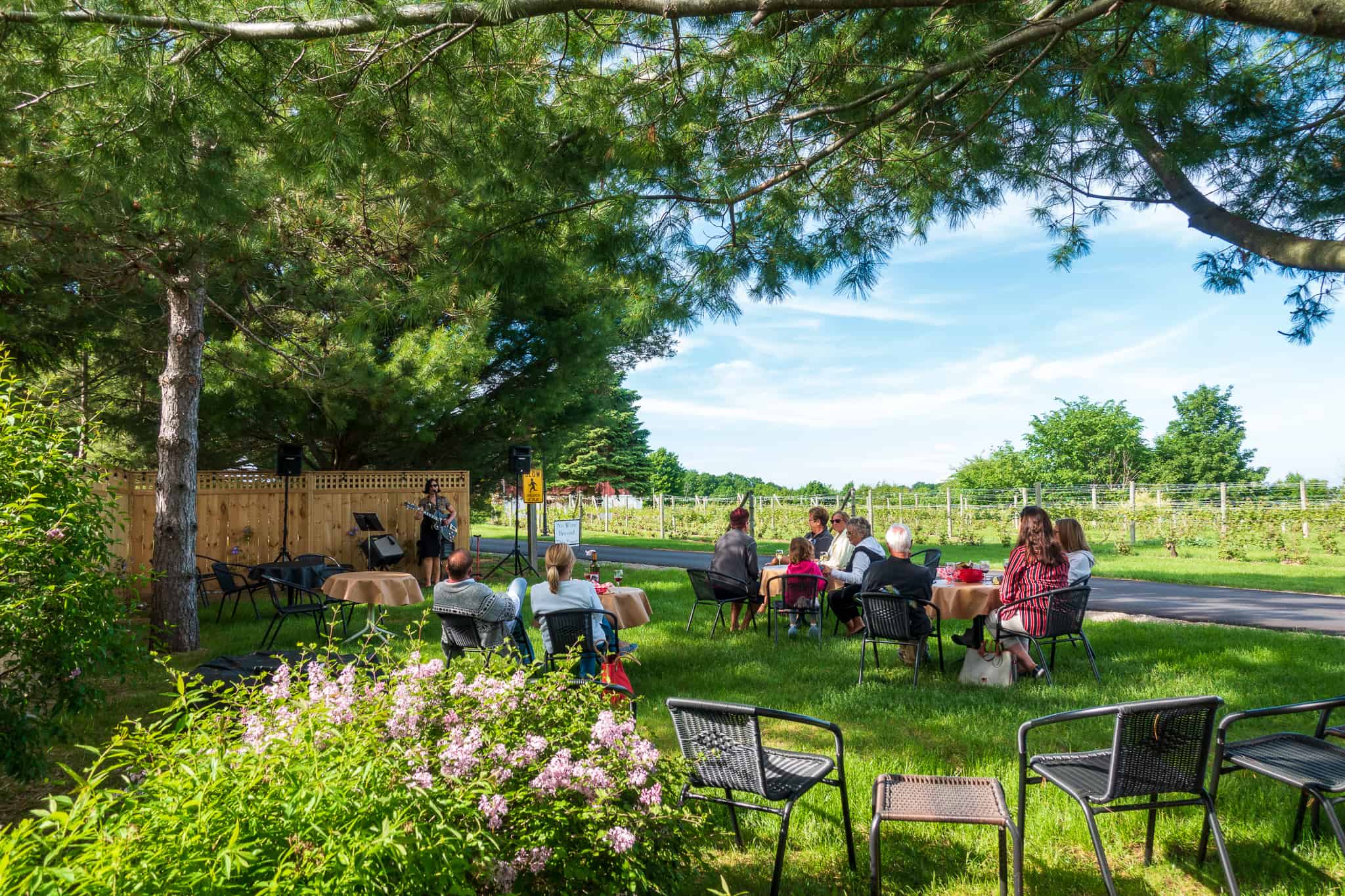 Music in the Yard at Ciccone Vineyard & Winery