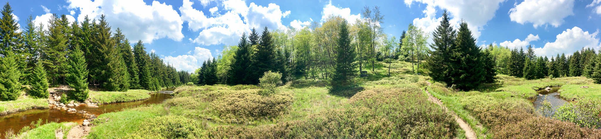 Dolly Sods