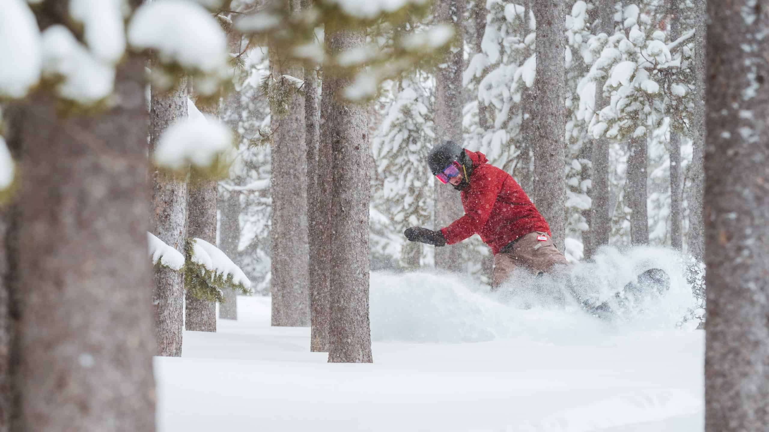 Southern Idaho skier