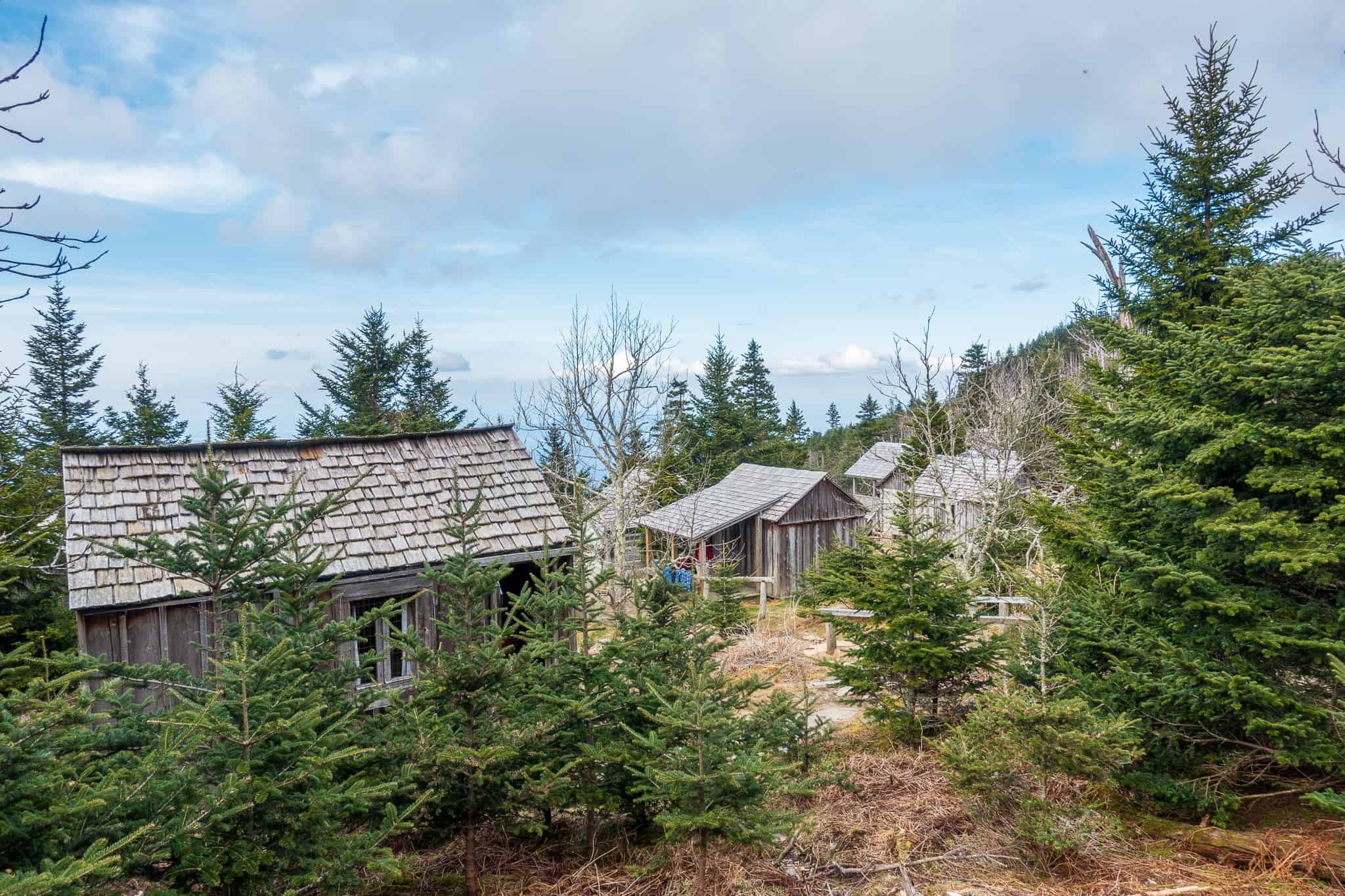 Mount LeConte in Great Smoky Mountains National Park