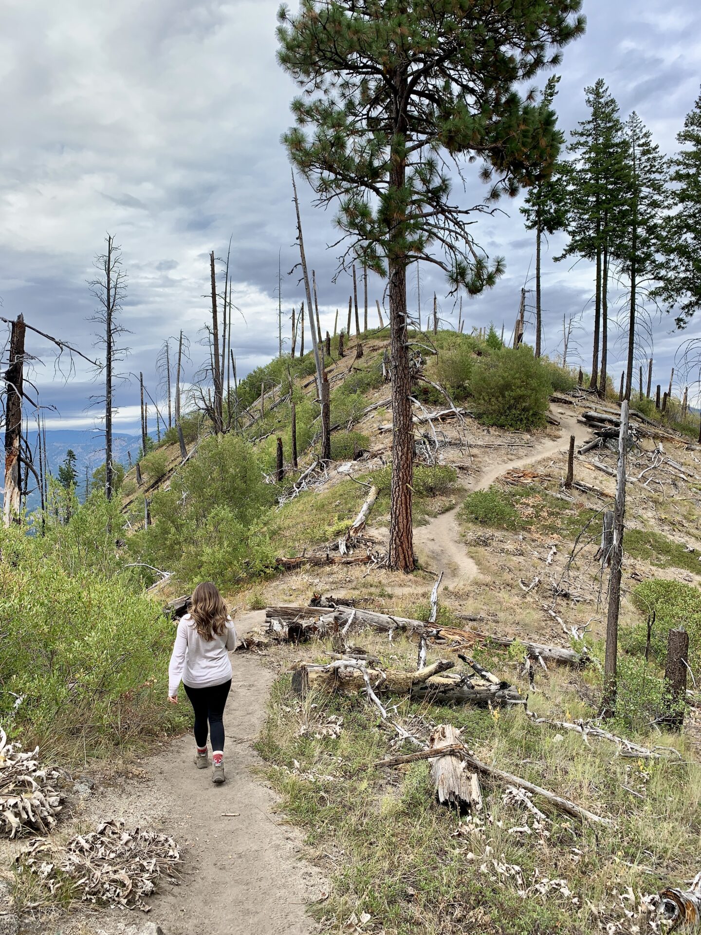 Cindy on Icicle Ridge Trail in Leavenworth