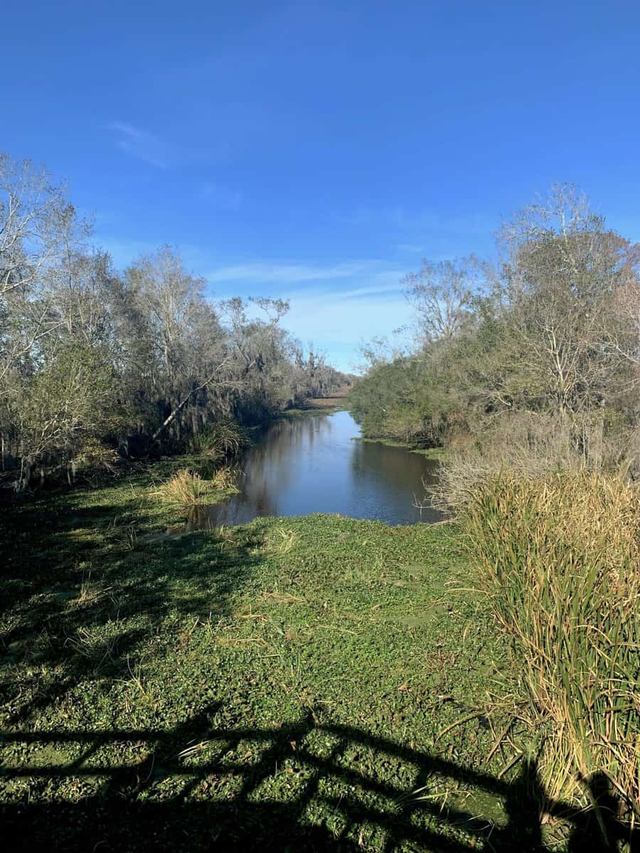 new orleans outdoor activities: Barataria Preserve