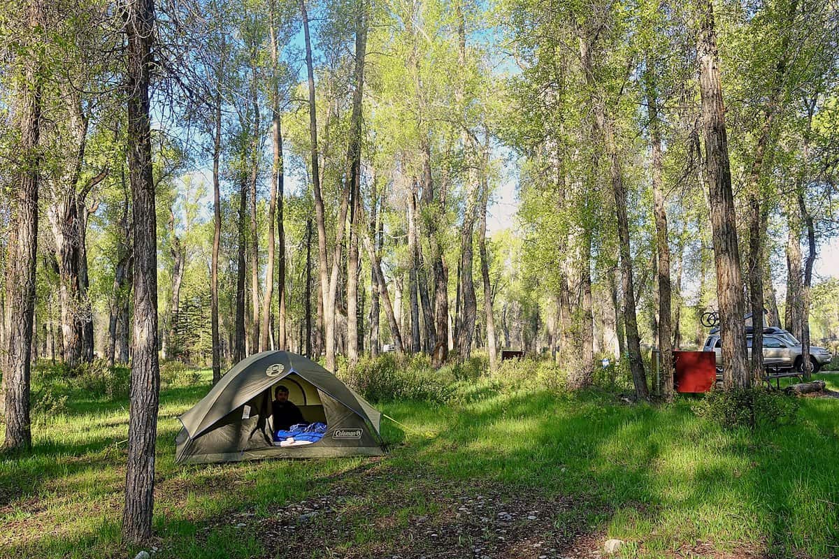 car camping necessities: Barrett in a tent