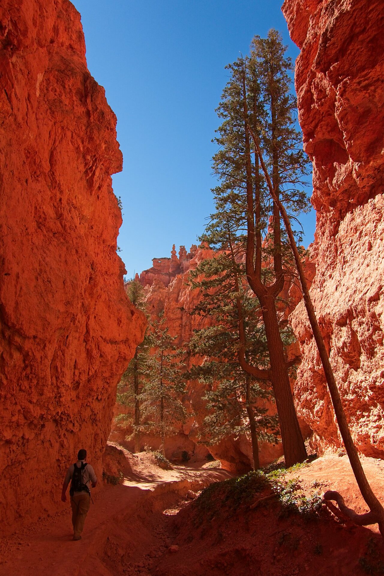 Barrett in Wall Street Bryce Canyon National Park