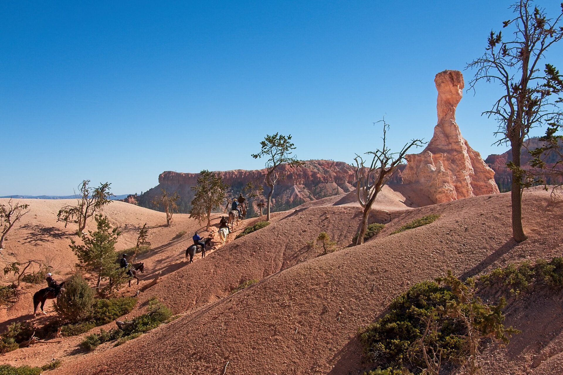 Bryce Canyon National Park Horseback Riding