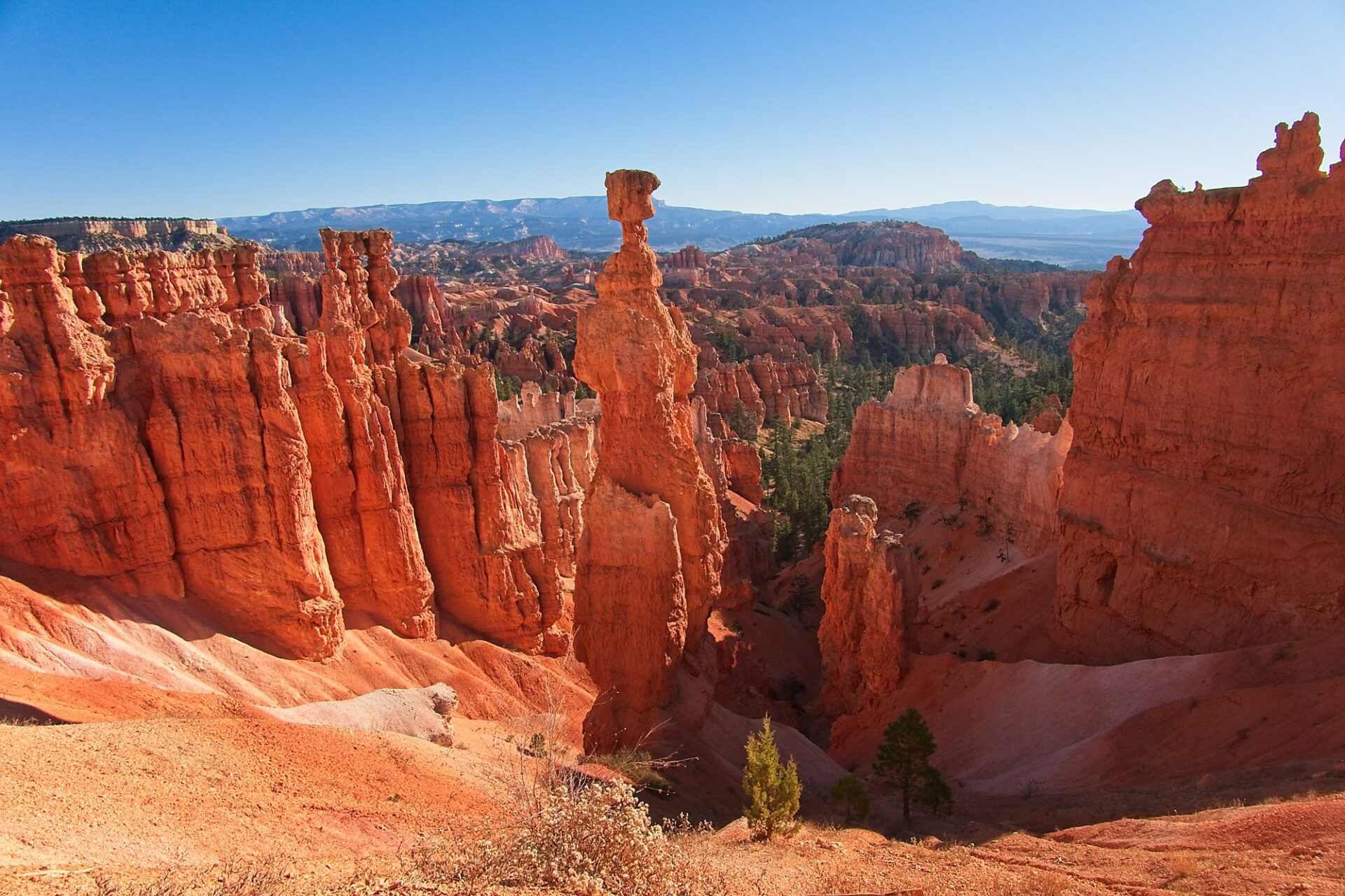 Thor's Hammer along the Navajo Loop - one of the best Bryce Canyon National Park hikes