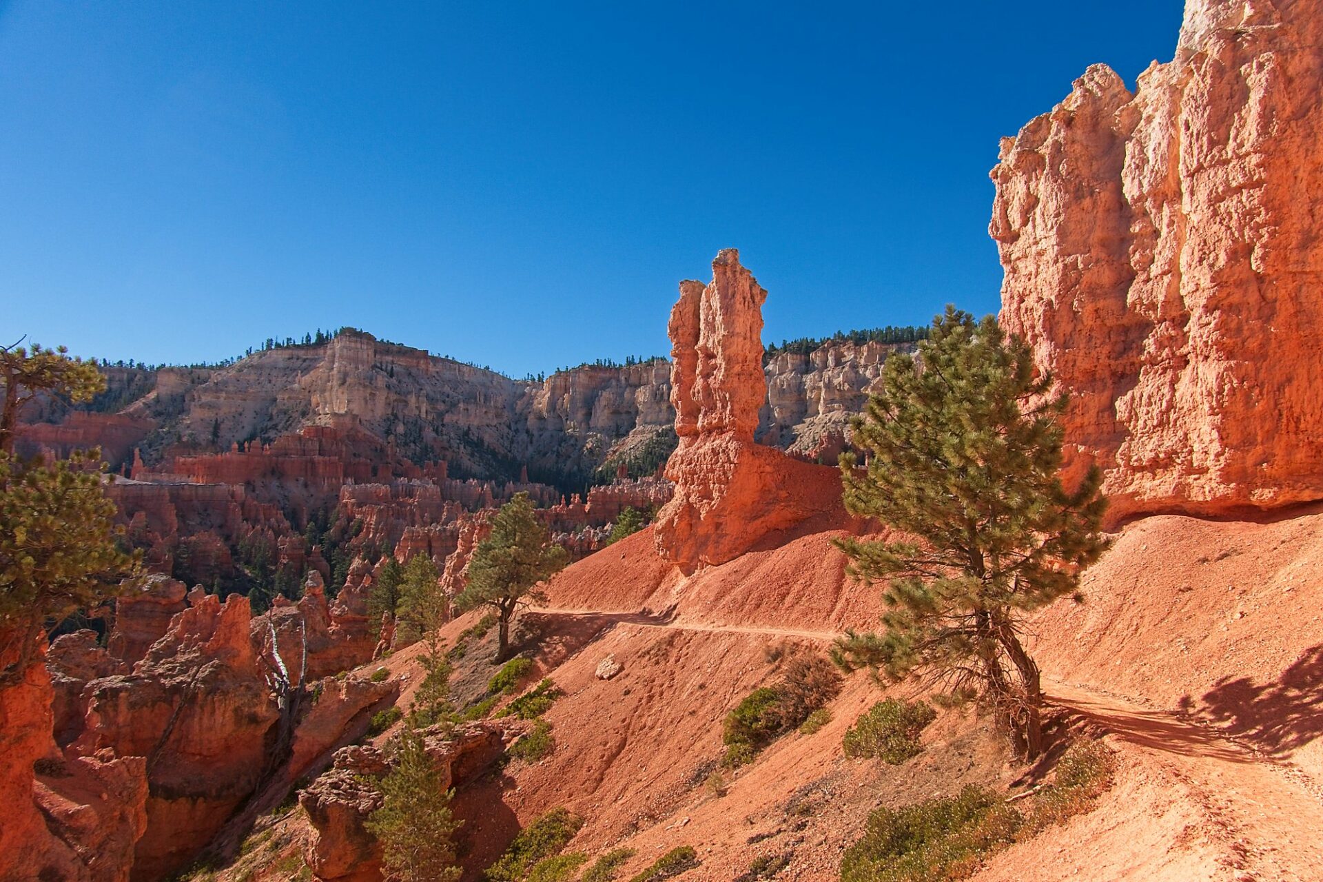 Peekaboo Trail in Bryce Canyon National Park