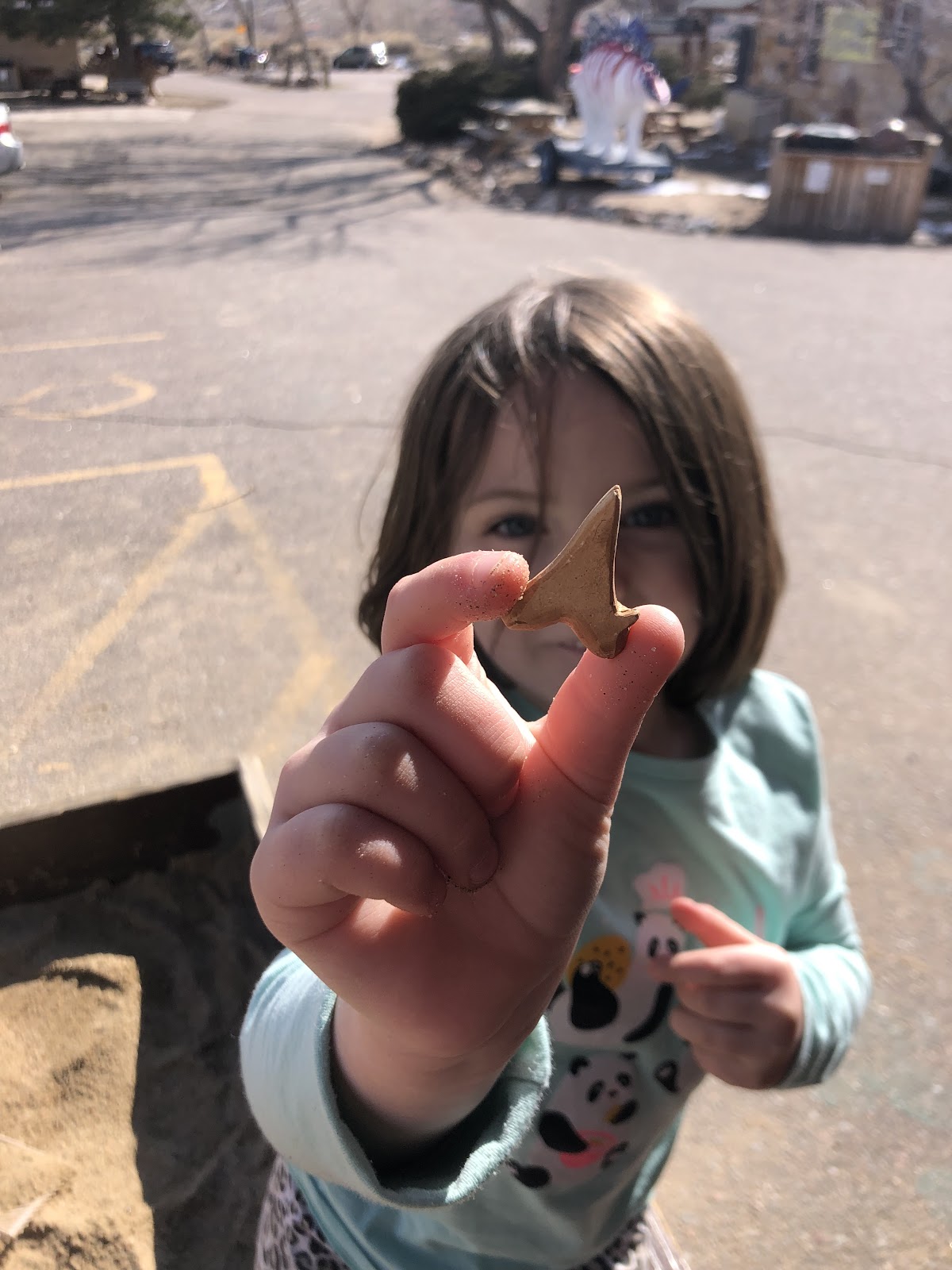 Family Vacationing in Colorado at Dinosaur Ridge