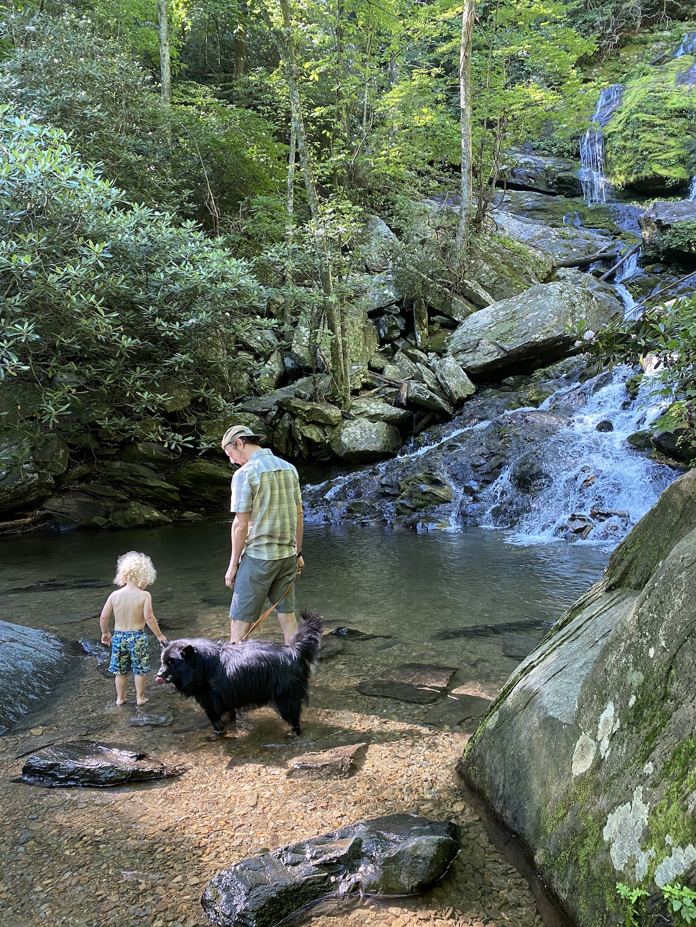 Catawba Falls Waterfall