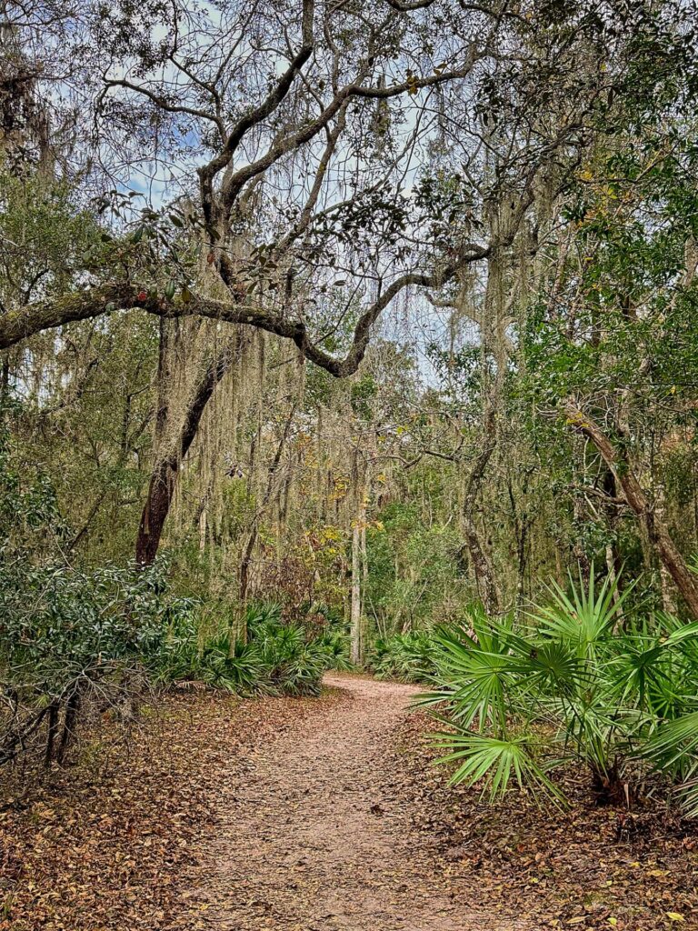 A trail at the GTM