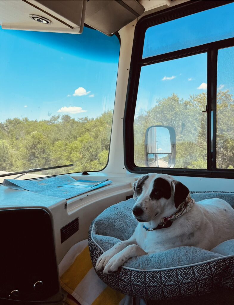 Heather's Dog Dotty in her RV