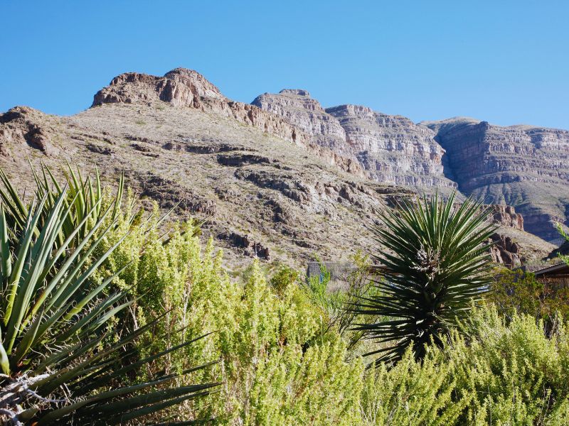 Best State Parks in New Mexico: Oliver Lee Memorial State Park