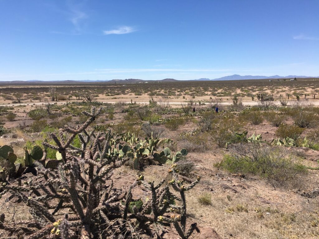 Pancho Villa State Park