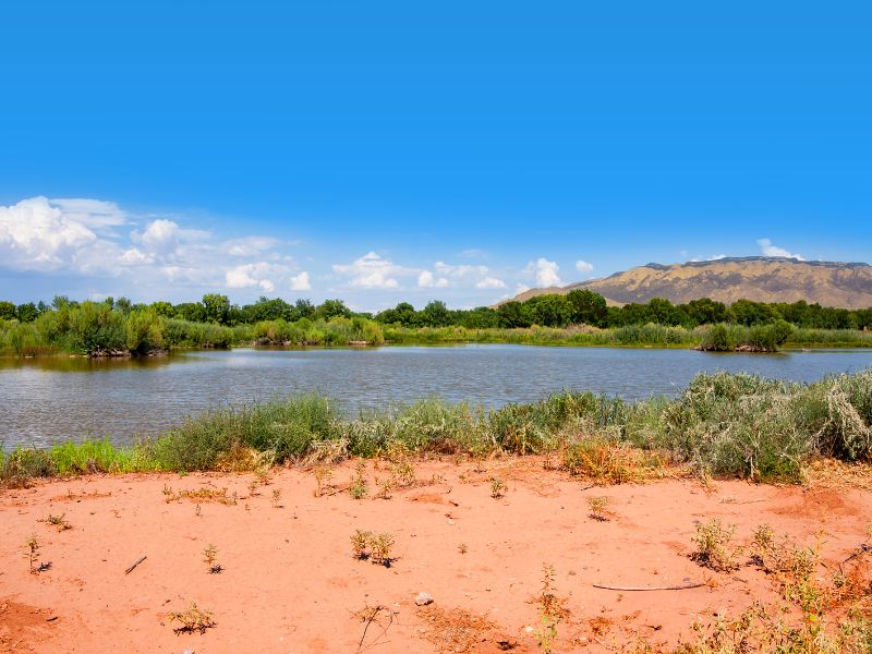 Rio Grande Nature Center State Park