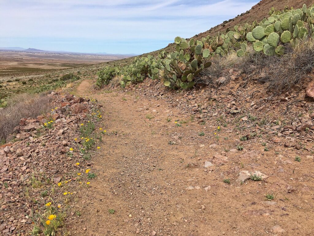 Rockhound State Park, one of Jamie's picks for Best State Parks in New Mexico