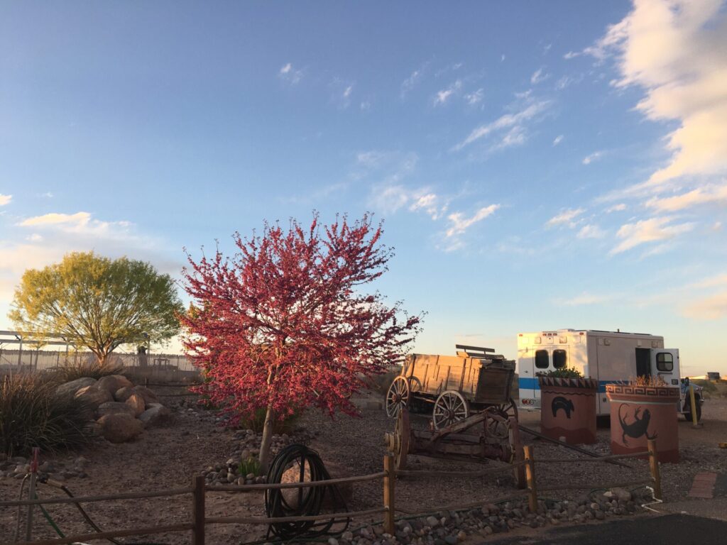 Rio Rancho campground view