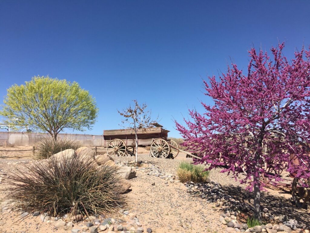 Rio Rancho campground view