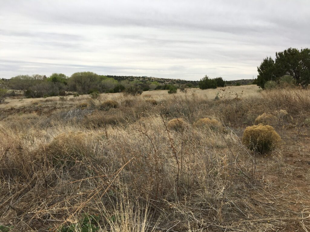 Rose Valley RV views in Silver City