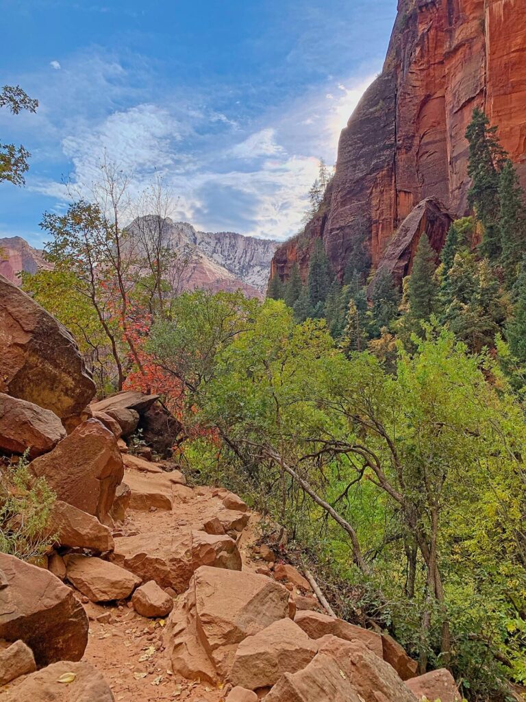 A trail in Zion National Park